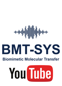 Canal Youtube